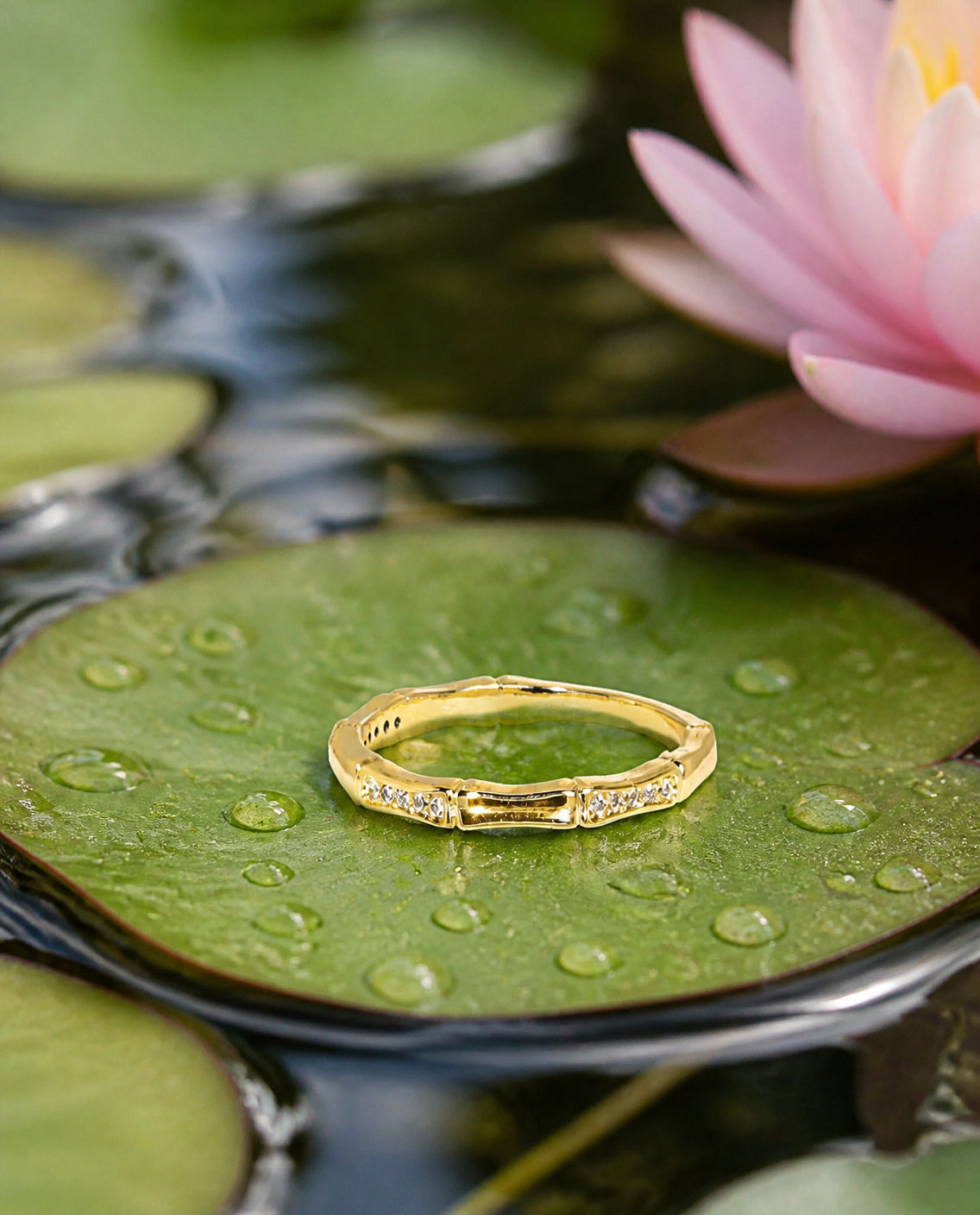 Dainty Sparkle Band Ring on a water-lily pad